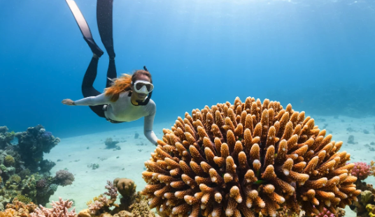 Snorkeling Nusa Lembongan – Ultimate Guide to Bali’s Hidden Reef