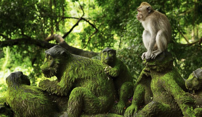 Monkey Forest Ubud – Complete Visitor Guide 2026