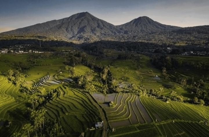Tegallalang & Jatiluwih Rice Terraces