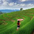 Ubud Travel Guide