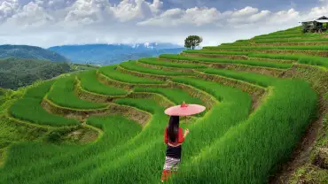 Ubud Travel Guide